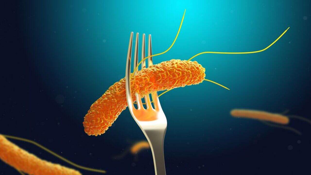 salmonella ritiro prodotti