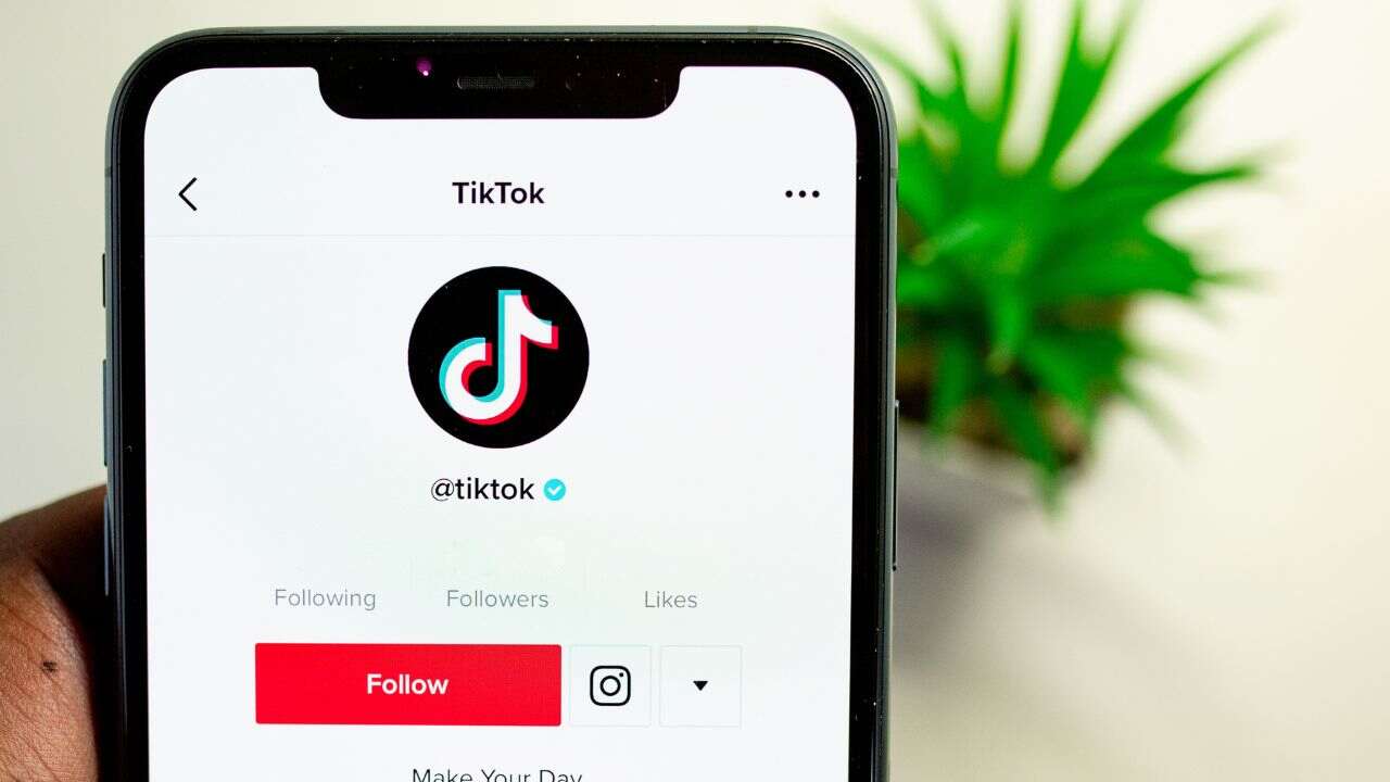 tiktok industria