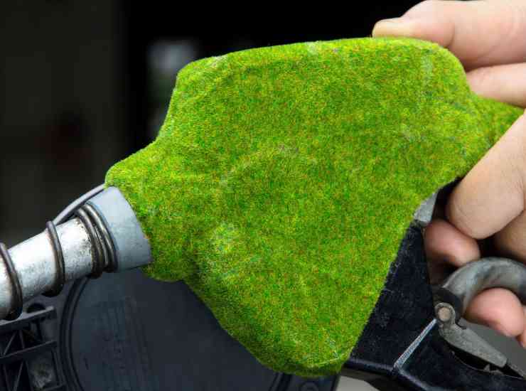 carburante sostenibile