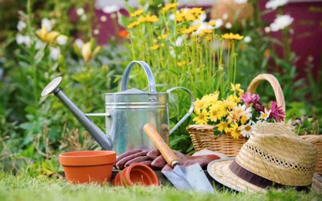 Fare giardinaggio a costo praticamente zero