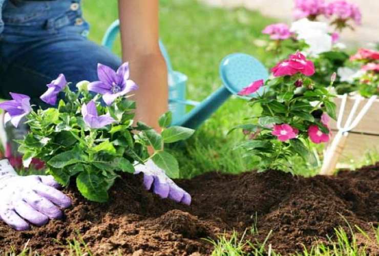 Fare giardinaggio a costo praticamente zero