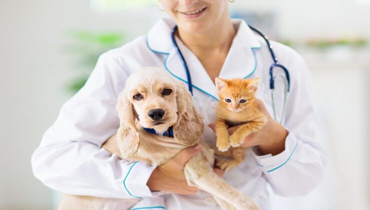 Spese veterinarie
