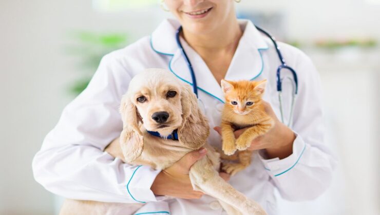 Spese veterinarie
