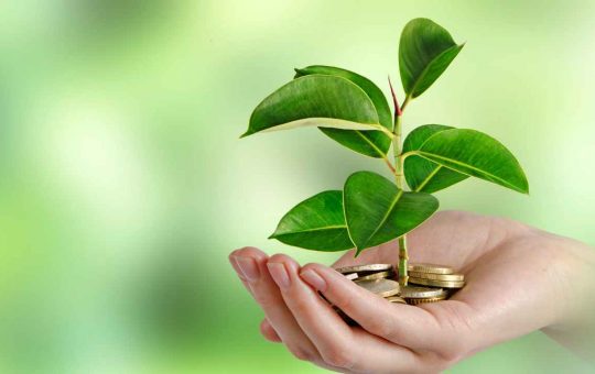 investimenti green