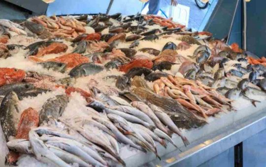 Cena a base di pesce con pochi soldi