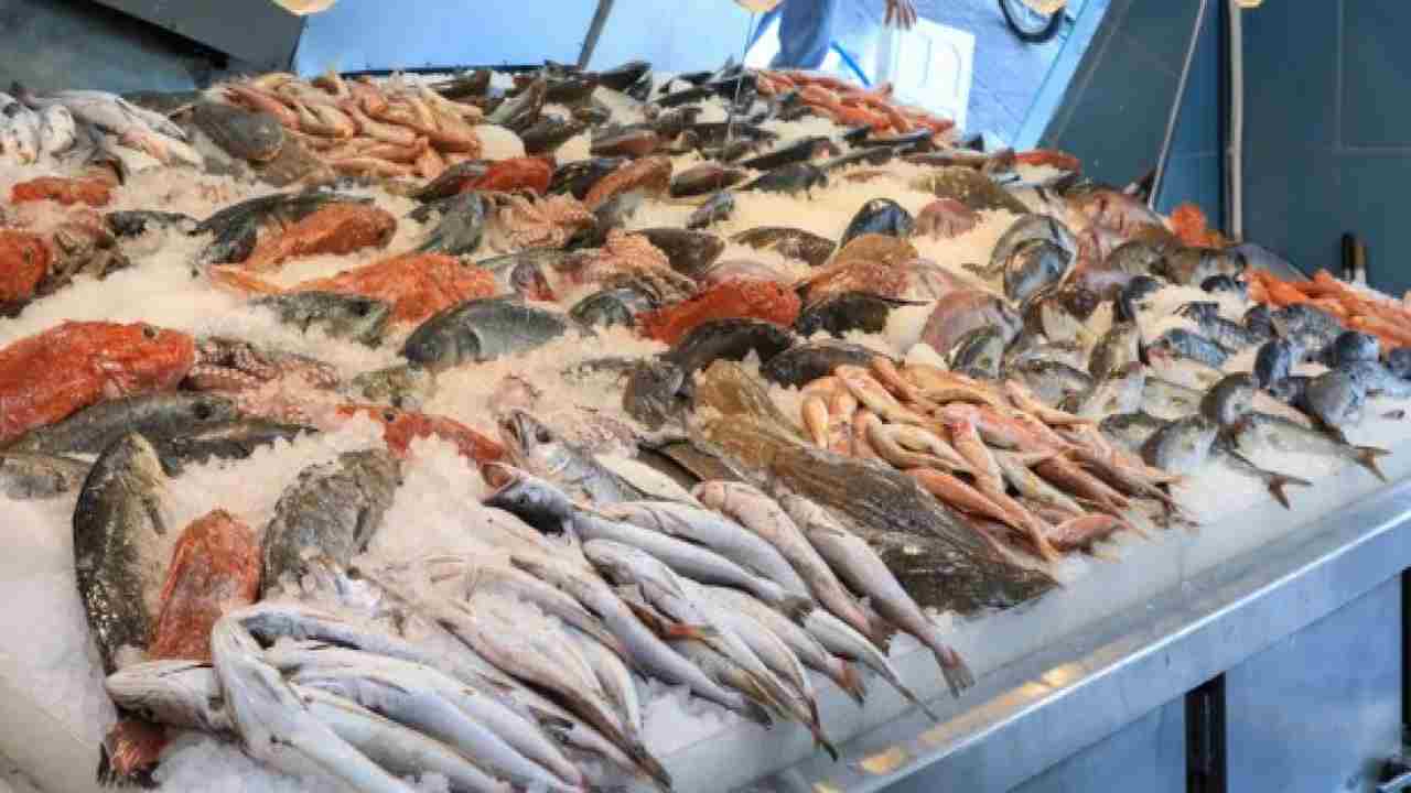 Cena a base di pesce con pochi soldi