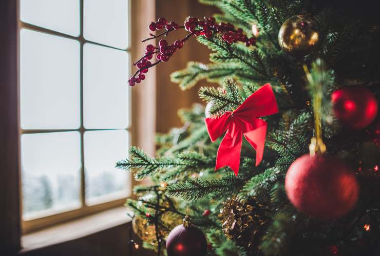 Cosa non deve mai mancare per Natale