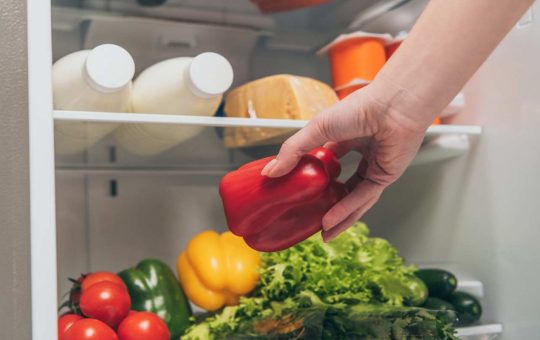 Come mantenere fresco il cibo