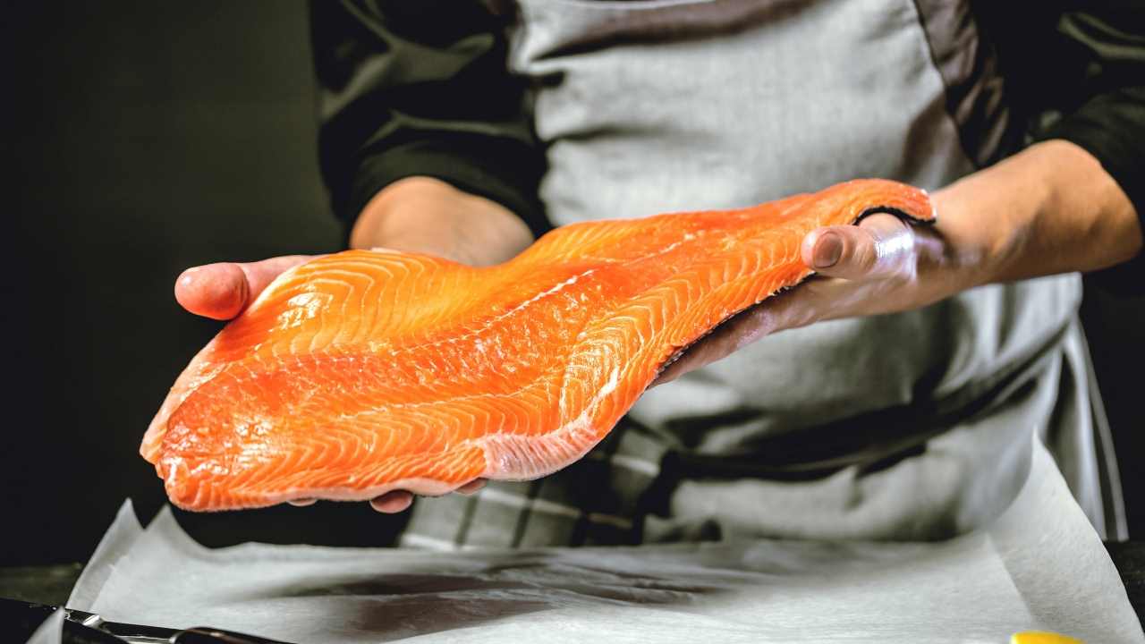 I fare for helsen har laks uegnet til konsum blitt solgt i årevis: ingen har noen gang skjønt det |  Se opp for vognen